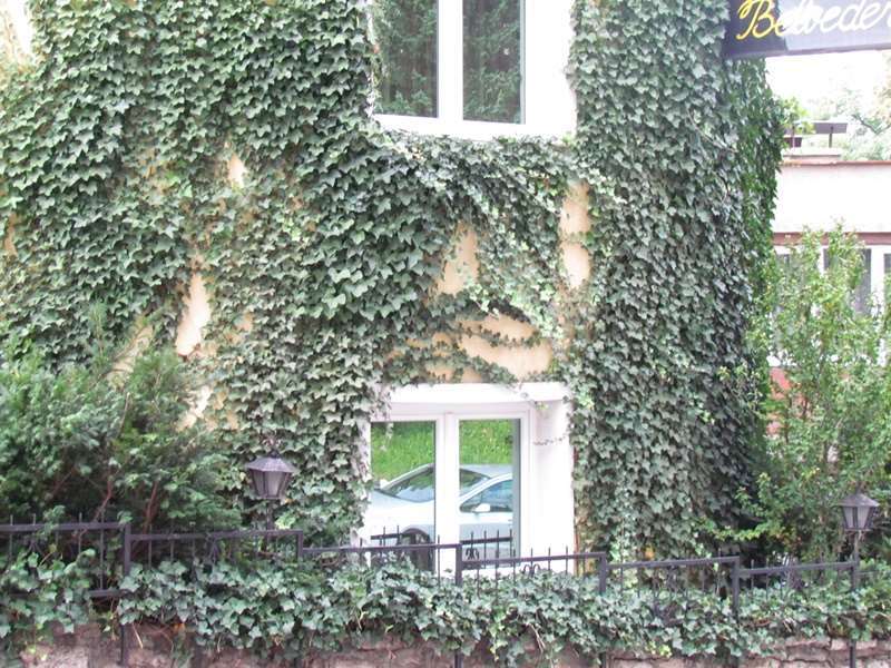 Hotel Belvedere サラエヴォ エクステリア 写真